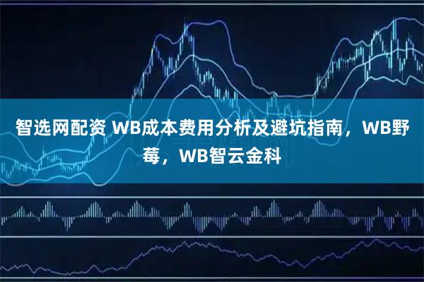 智选网配资 WB成本费用分析及避坑指南，WB野莓，WB智云金科
