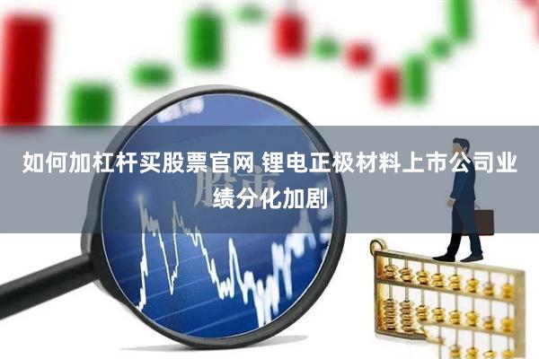 如何加杠杆买股票官网 锂电正极材料上市公司业绩分化加剧